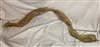1968 Mercury Cougar GT-E Front Fender Moulding